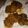 cassie.gregory1's cooksnap of when they made Fried Chicken livers.