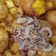 Cooksnap dari Akbar Family untuk resep Semur tahu, telur, dan kentang