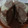 Cooksnap dari emma untuk resep Bolu Zebra Kukus