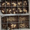 Cooksnap dari Ayu Lestari Prasetiyo untuk resep Fudgy Brownies Sekat Panggang