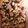barnesmerle72's cooksnap of when they made Mind blowing black bean corn salsa.