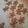 Cooksnap dari Eni Sulistyowati untuk resep Gingerbread Cookies