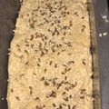 El cooksnap de lujantrigo cuando hizo Pan Integral 100% con Semillas y Pasas.