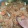 Cooksnap dari NITA HARDIYANTI untuk resep Bihun Goreng Premium