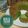 Cooksnap dari Meri Rindras untuk resep Bolu pandan Praktis 4 telur