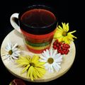 کوک اسنپ banookord بعد از امتحان کردن چای دارچیلینگ🌻.