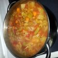 Vasy48's cooksnap of when they made Celery Cabbage Soup.
