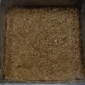 Cooksnap dari Lifa untuk resep Wajik ketan gula merah