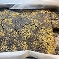 K. Kitti Cooksnap-ja, amikor elkészítette a(z) Csokoládés köles brownie receptet.