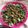 Pinal Patel's cooksnap of when they made ભીંડા નું શાક (Bhinda Shak Recipe In Gujarati).