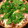 El cooksnap de Mavabaray cuando hizo Pizza de masa integral con tomate y albahaca 🍕🌱🍅.