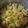 Cooksnap dari Julia Maharani untuk resep Siomay (chicken and prawn dumplings)