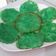 Cooksnap dari Dewi Friska untuk resep Kue cucur pandan #pr_kuetradisionalberserat