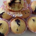 Cooksnap dari Amelies Magic Kitchen untuk resep blueberry muffin