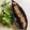 chef Nidhi Bole's cooksnap of when they made કોથંબિર વડી (Kothimbir vadi recipe in Gujarati).