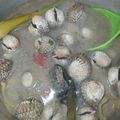 Cooksnap dari Dia Tias untuk resep SOP KERANG DARA rasa Istimewa dan Segar 🤤🤤