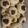 El cooksnap de Nozaroc Nis Amla Somar Serrot cuando hizo Polvorones de Puerto Rico.