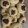 El cooksnap de Nozaroc Nis Amla Somar Serrot cuando hizo Polvorones de Puerto Rico.