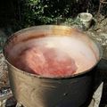 صورة من Kani Bagzada، شاركها بعد تجربة وصفة بيتزا بالفطر والمرتديلا بطريقة ابتهال😋😉