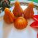 Yamuna H Javani का कुकस्नैप जब उन्होंने कोकोनट मावा के मोदक (COCONUT MAWA K MODAK RECIPE IN HINDI) बनाया था।