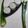 Charusheela Prabhu's cooksnap of when they made इम्युनिटी बूस्टर एलोवेरा जूस (immunity booster Aloe vera juice recipe in marathi).