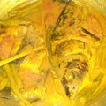 Cooksnap dari Anak RAJA untuk resep Ikan Mas Arsik