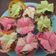 Cooksnap dari Selvia Ong untuk resep Bolu kukus ketawa