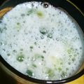 Shah Prity Shah Prity's cooksnap of when they made લીલી દ્રાક્ષ અને વરિયાળી ફુદીના નું જ્યુસ (Green Grapes Variyali Pudina Juice Recipe In Gujarati).