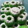 Cooksnap dari Srie Rezekie Zubir untuk resep Putu Ayu Super Lembut #Juli48