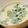 Phoenix Chang 的 秋葵蒸蛋 cooksnap