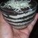 Cooksnap dari Ndah untuk resep Cheescake Oreo
