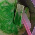 Cooksnap dari Hanifa Muzhaffar untuk resep Bolu Santan Kukus Lapis Trio / Pelangi Tanpa Pengembang