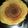 Tanuja Sharma's cooksnap of when they made Besan Ka cheela.