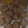 Cooksnap dari ulfa chairunnisa untuk resep Bakso Daging Sapi Giling