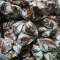 Cooksnap dari Ani Sofiyani untuk resep Bolu Kukus Mekar tanpa soda