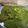 Divya Bala's cooksnap of when they made Palak paneer.