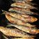 El cooksnap de Tito cuando hizo Sardinas a la plancha.