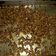 El cooksnap de Julieta Aguirre cuando hizo Snacks de garbanzo.