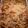 Leepee79's cooksnap of when they made Taco Stuffed Shells.