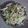 Jayshree Doshi's cooksnap of when they made વેજીટેબલ સલાડ (Vegetable Salad Recipe In Gujarati).