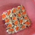 Cooksnap dari Mia Maula untuk resep Dimsum Ayam Udang Labu siam