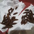 Cooksnap dari Dian Wuri Handayani untuk resep Beng Beng Choco Cookies Goreng