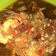 Cooksnap dari Nadia Azmi untuk resep Udang Saos Tiram