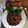 Cooksnap dari iiswatizain untuk resep Krengsengan Daging sapi