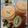 Cooksnap dari Ferasty untuk resep Mango kiwi orange mix juice