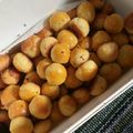 Cooksnap dari Tutik untuk resep Nastar premium lumer