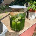Vanda Rácz Cooksnap-ja, amikor elkészítette a(z) Klasszikus kovászos uborka receptet.