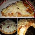 El cooksnap de 𝒞ℯ𝓁ℯ 𝒞𝒶𝓈𝓉𝒶ñℯ𝒹𝒶🥰 cuando hizo Pizza Fugazzeta a la piedra, sin tomate, con semillas de lino.