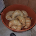 El cooksnap de Benjamín Rodríguez cuando hizo Medialunas 🥐🥐 Económicas, sin manteca ¡¡¡Riquísimas!!!🤤.