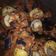 Cooksnap dari ciwa untuk resep Sambal Bajak Terong & Telur Puyuh #alamami